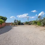 Terra E Colori Bilo 3 *